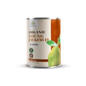 Organic Young Jackfruit in Brine 400g